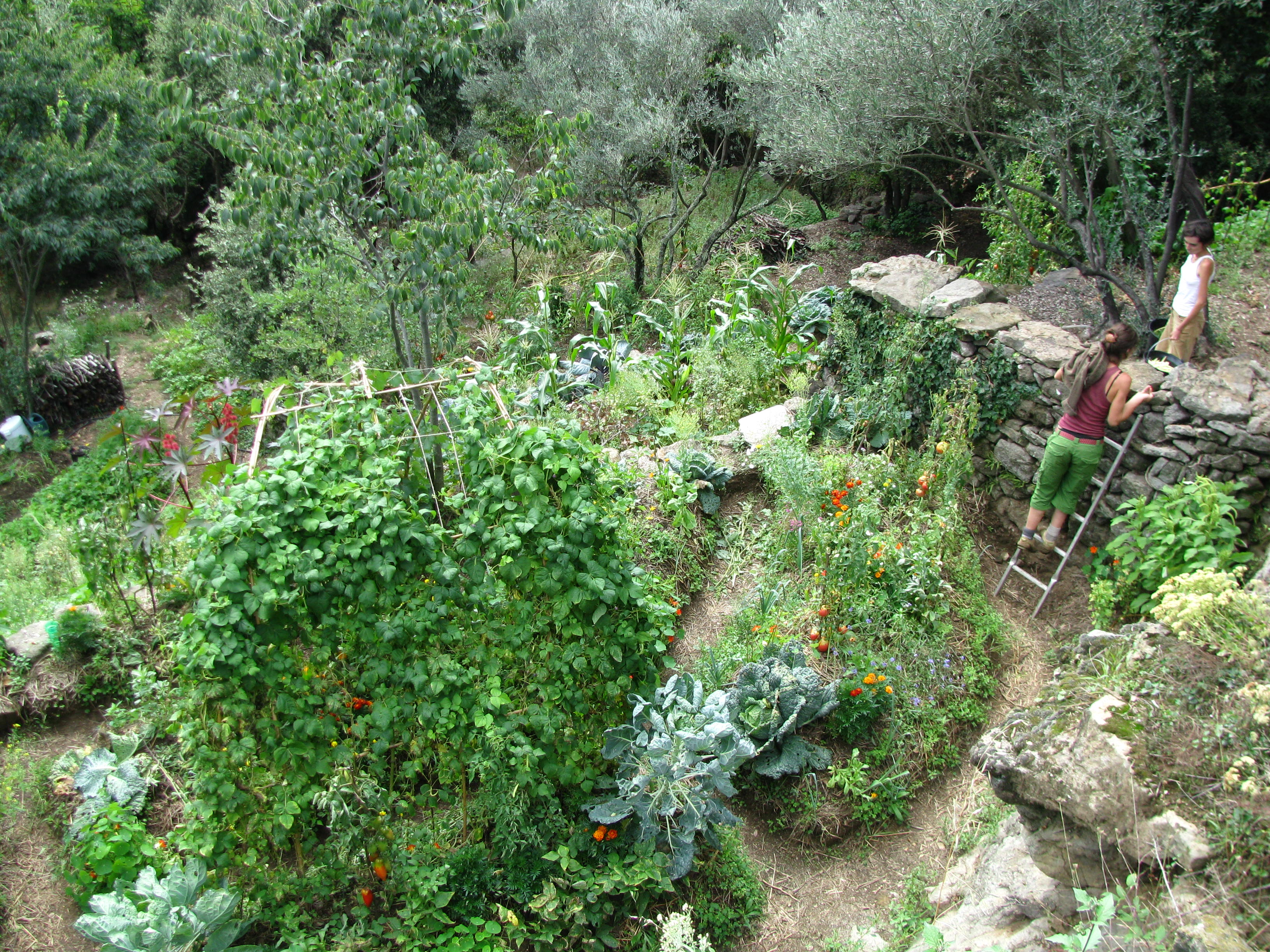 Photo de jardin 11